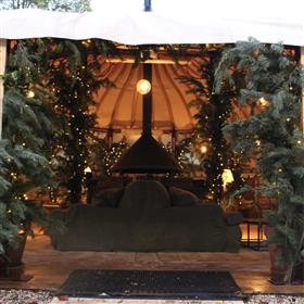 fwthumbChristmas grotto Oakley Court Lilys Flowers Lightwater.jpg